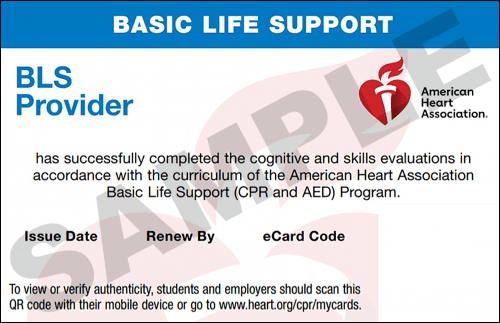 CPR Classes Tacoma AHA BLS CPR CPR Certification Tacoma