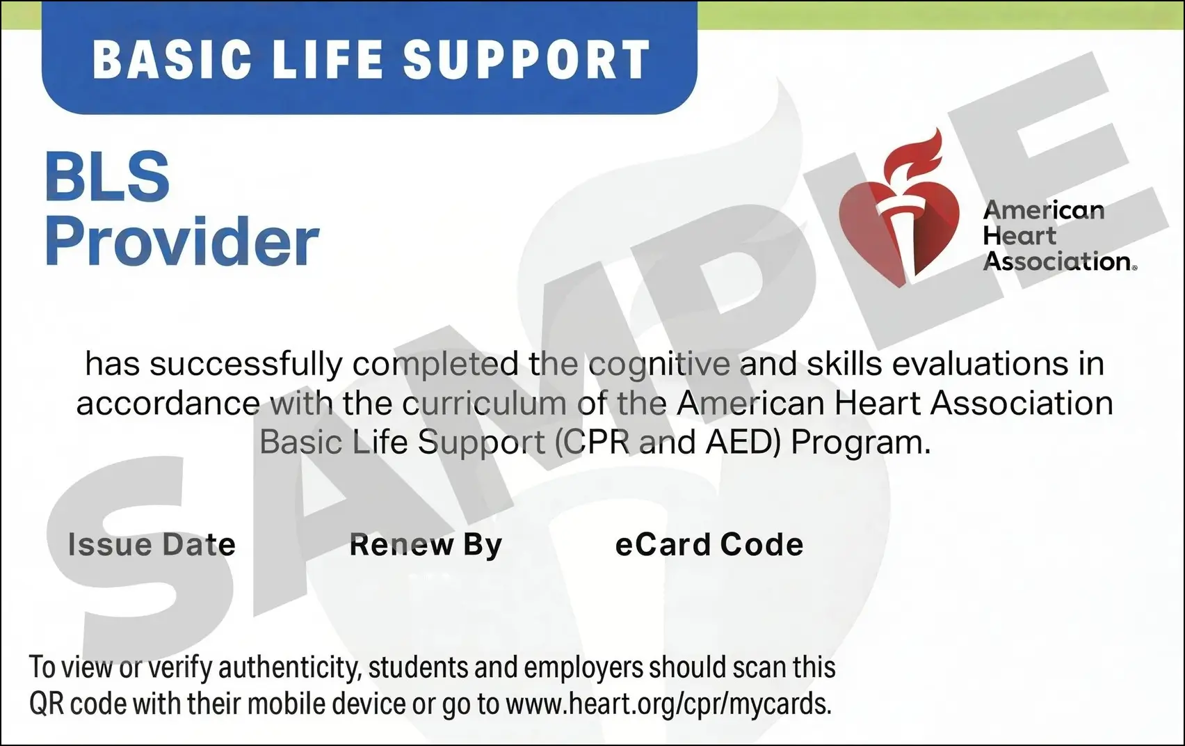Sample American Heart Association AHA BLS CPR Card Certification from CPR Certification Tacoma
